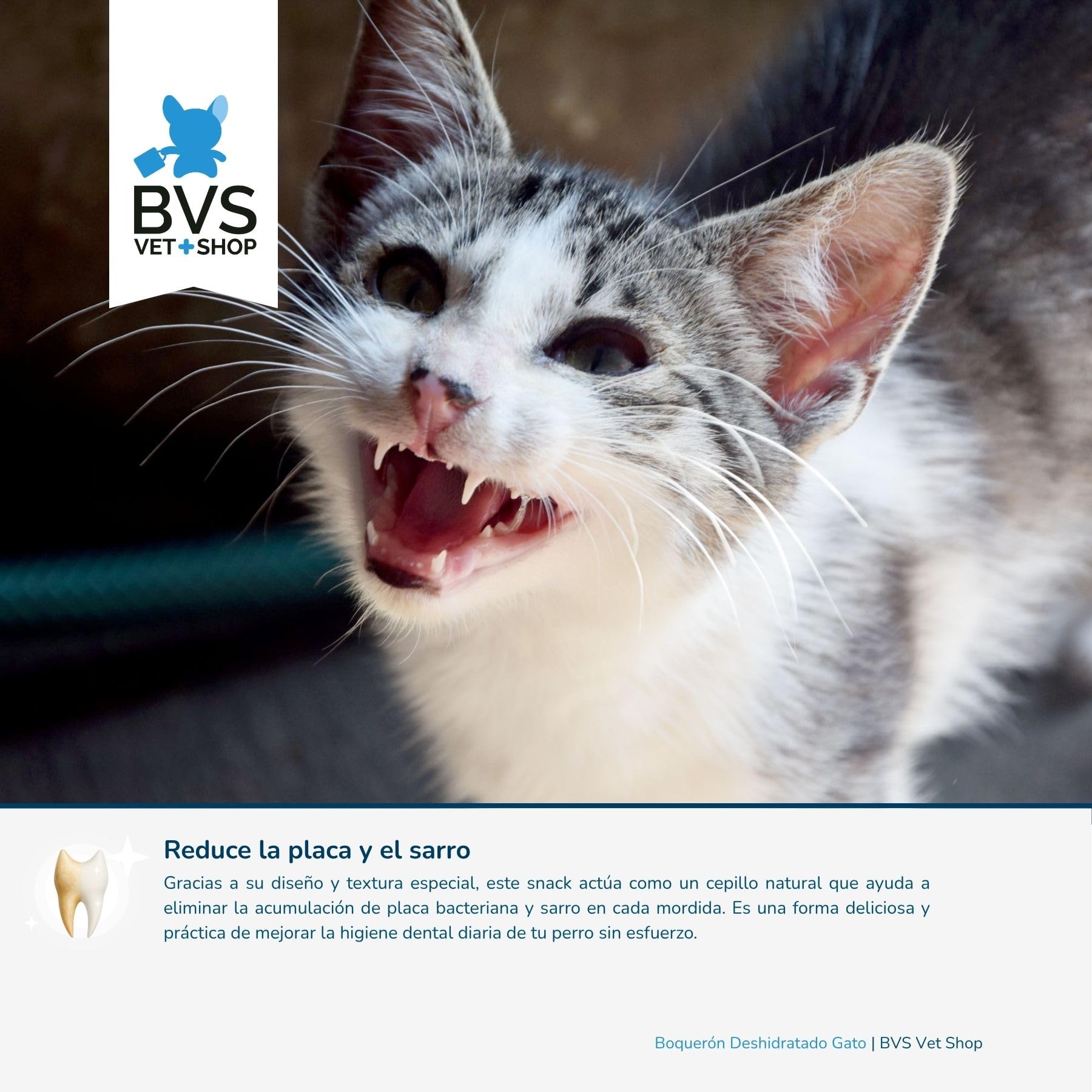 BVS Vet Shop | Boquerón Deshidratado para Gatos | Ayuda a Mantener una dentadura Sana y una higiene bucodental óptima | 60 gr