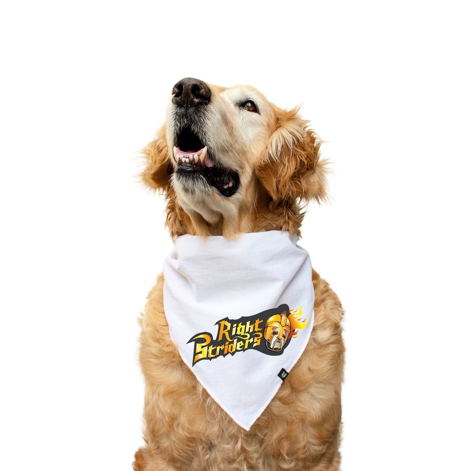Ruse Round Neck Knotty Bandana for Dogs, IPL Kolkata Right Striders Cotton Teams Dog Apron Printed Breathable Mealtime Scarf for Pet (Pink, Large) (B0C3D87KH9) Amazon Price History, Amazon Price Tracker
