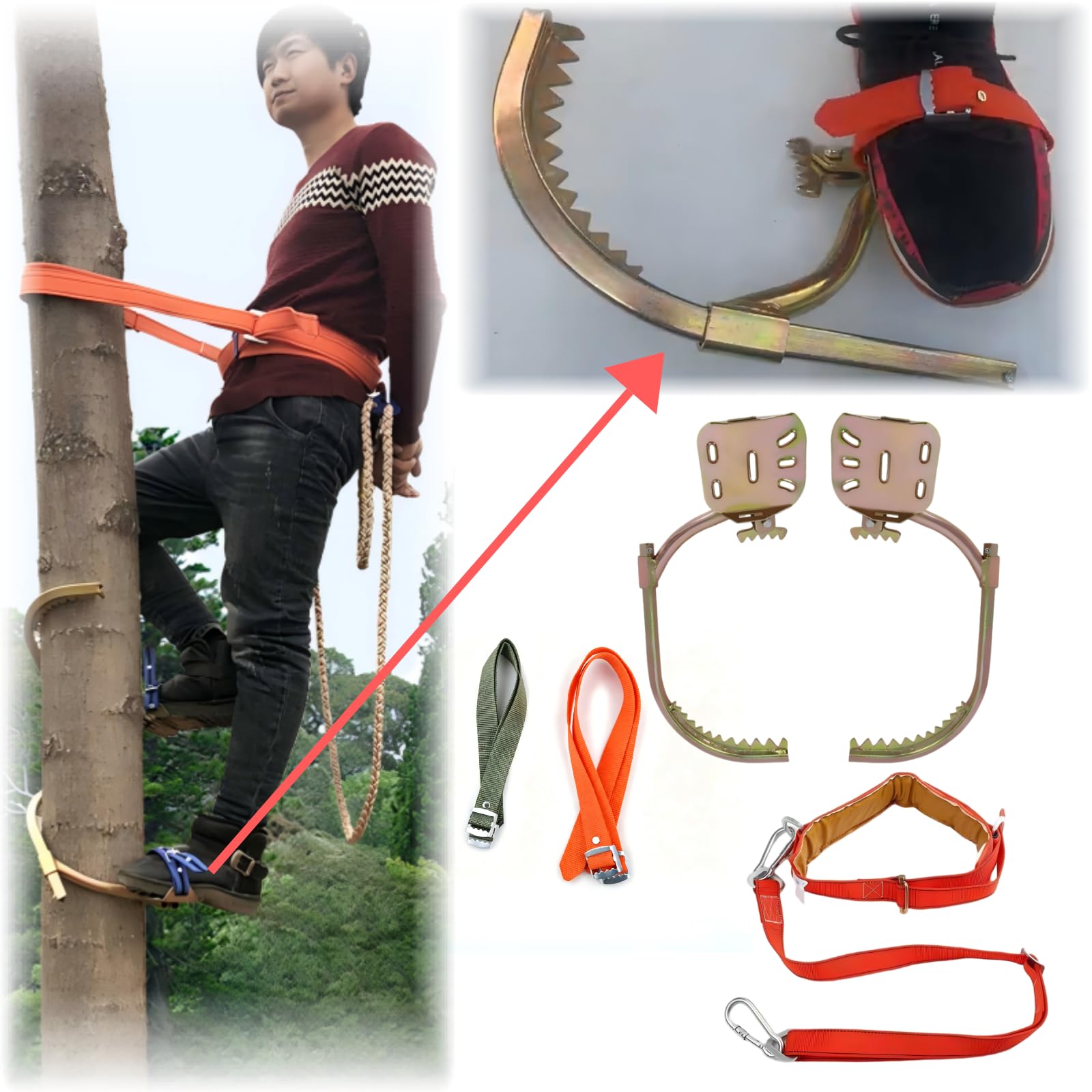 Set di ramponi per arrampicata sugli alberi, attrezzi specializzati per l'arrampicata sugli alberi, attrezzatura antiscivolo regolabile, per la raccolta di noci di cocco e frutta
