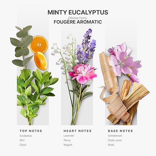Miniatura 2 de Health Scents - Eucalipto de menta de 5 onzas líquidas, colección Health, aromas naturales y veganos, mezclas de aceites difusores para