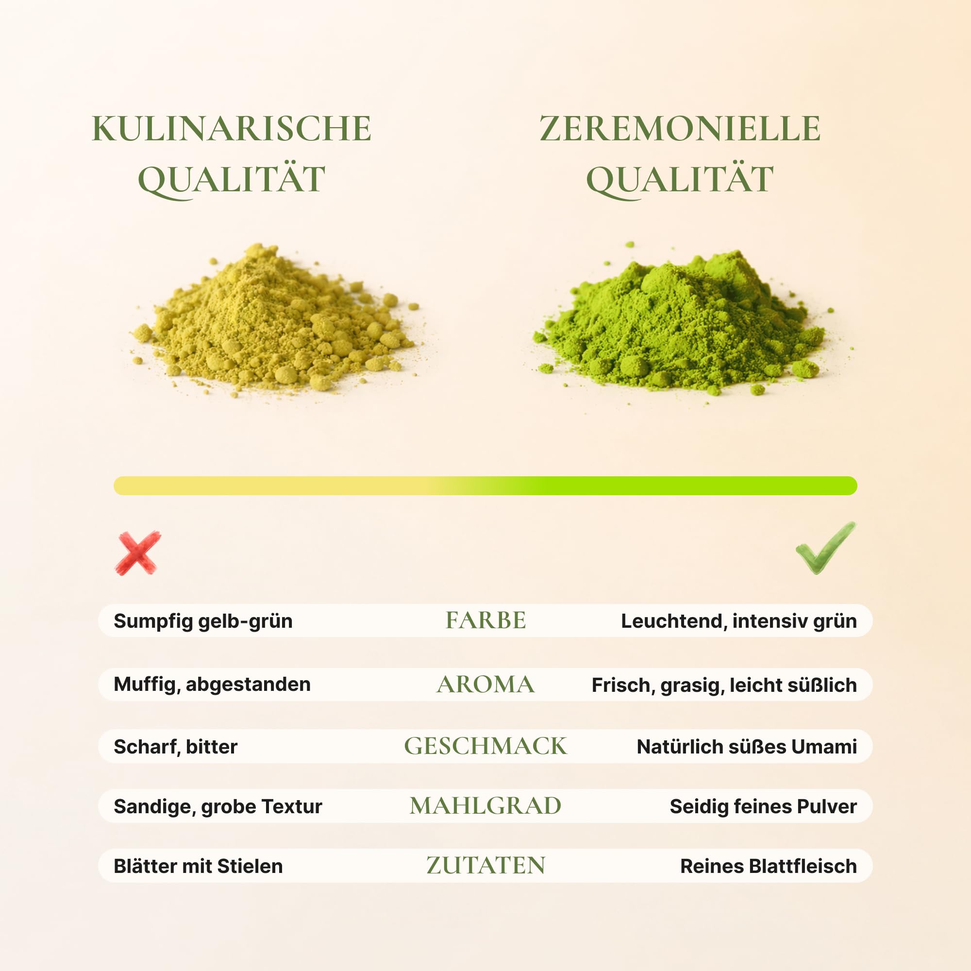 Avelor Sabi Matcha Tee Pulver (1kg) – Gastronomie-Großpackung – Authentic Ceremonial Grade – Laborgeprüft & pestizidfrei – Steinvermahlen für Baristas, Cafes & HoReCa