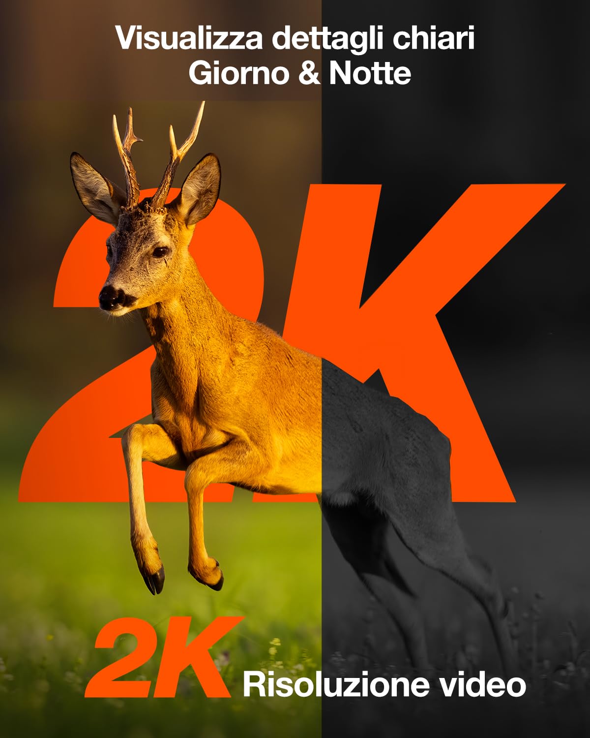 iZEEKER 4G LTE Fototrappola Solare, Fotocamera Caccia PTZ 2K con Scheda SD & SIM Visualizzazione Completa a 360°, Streaming Live, No Glow IR, Visione Notturna Motion Attivato IP65 Impermeabile