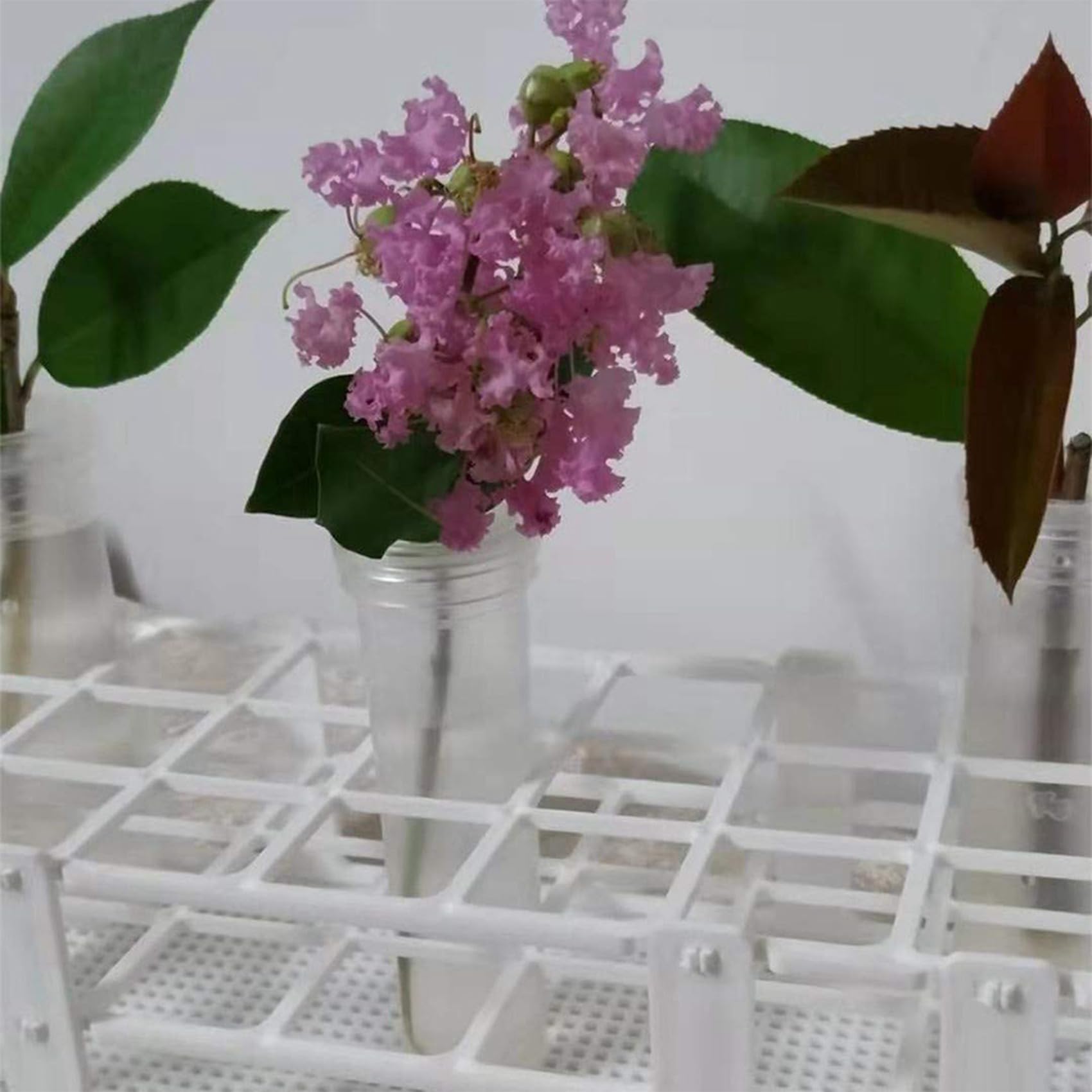 30 Piezas Soportes de Plástico para Tubos de Ensayo, 60 Agujeros, para Tubos de Ensayo de 16 Mm, Soporte Desmontable para Tubos de Ensayo de Laboratorio (60 Agujeros)