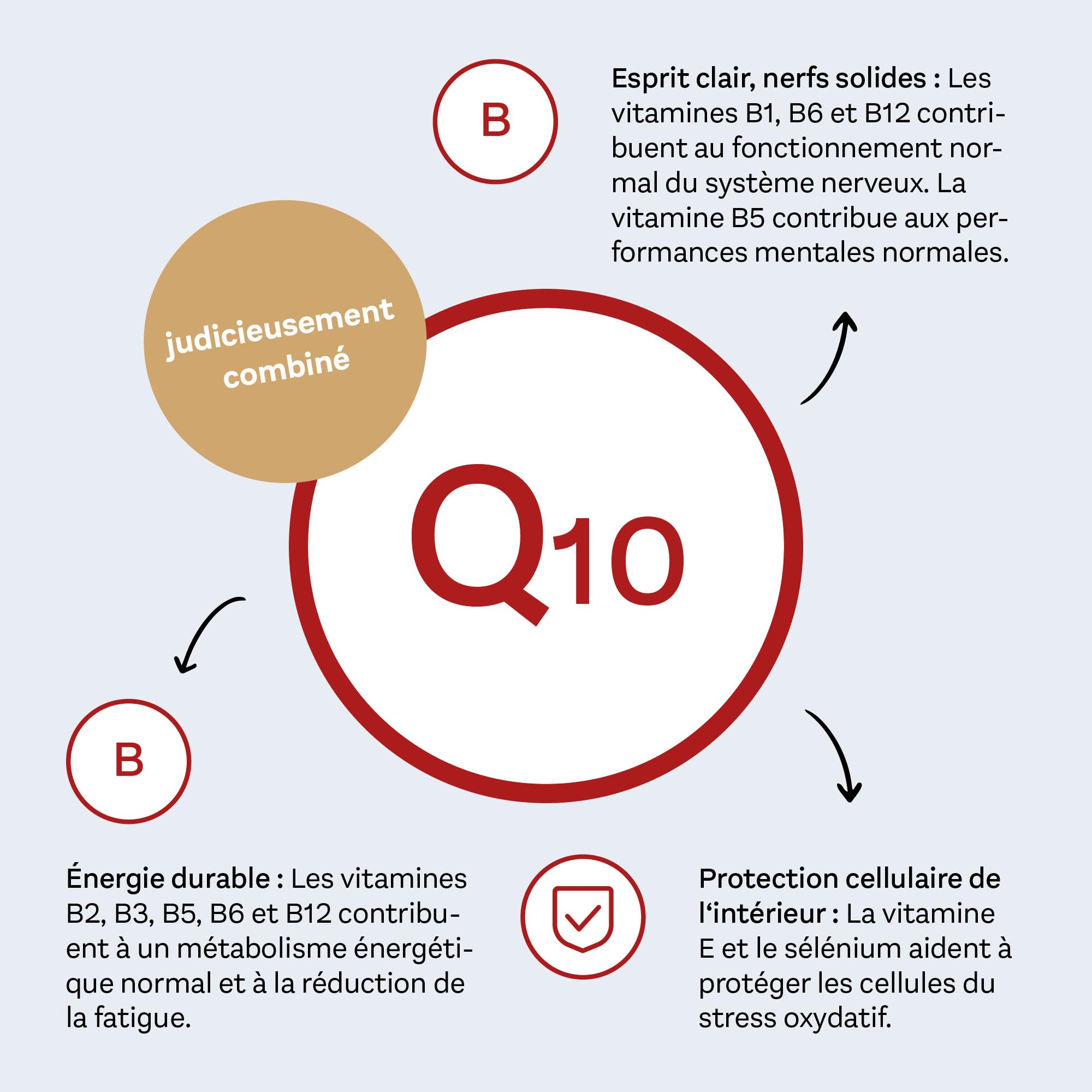 Doppelherz Coenzyme Q10 200 - soutient le métabolisme énergétique et contribue à la protection des cellules contre le stress oxydatif - 120 gélules