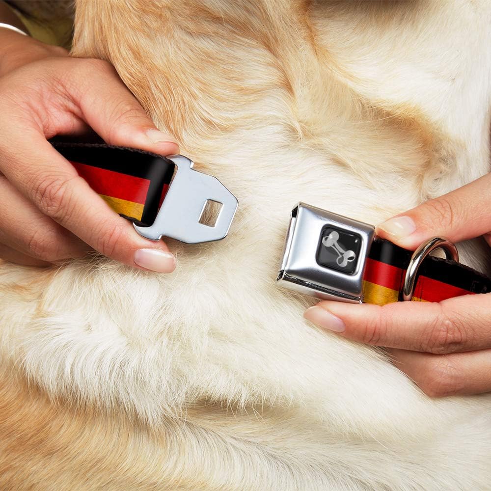 Buckle-Down Seatbelt Buckle Dog Collar - German Flag Distressed - 1" Wide - Fits 9-15" Neck - Small