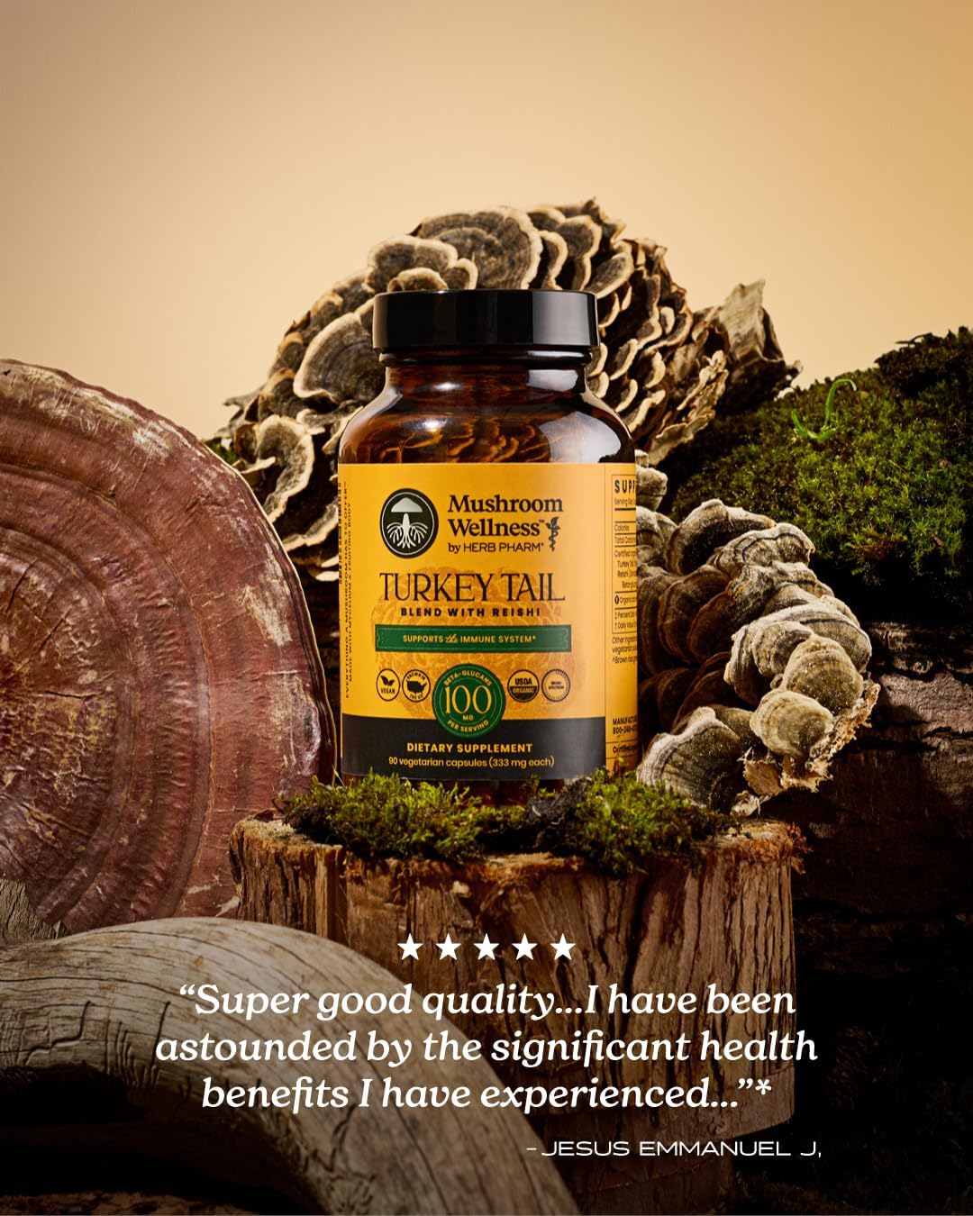 Mushroom Wellness Turkey Tail Blend with Reishi: Organic Turkey Tail & Reishi Mushroom Capsules, Mushroom Powder Supplement, Traditional Immune, Energy & Vitality Support, 90 Vegan Capsules - Image 8