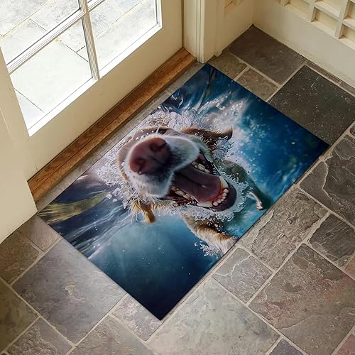 Miniatura 14 de Tapete de interior con patrón de calavera gótica para entrada, 17 x 29.5 pulgadas, tapete de calavera oscura para decoración del hogar, tapete