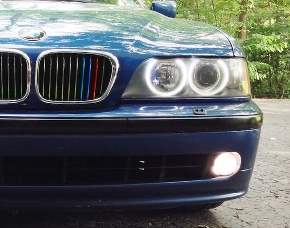 Lanyun 5 series Grille Insert Trims Decorate compatible with BMW 1995-2003 E39 5 Series Kidney Grille 10-Beam