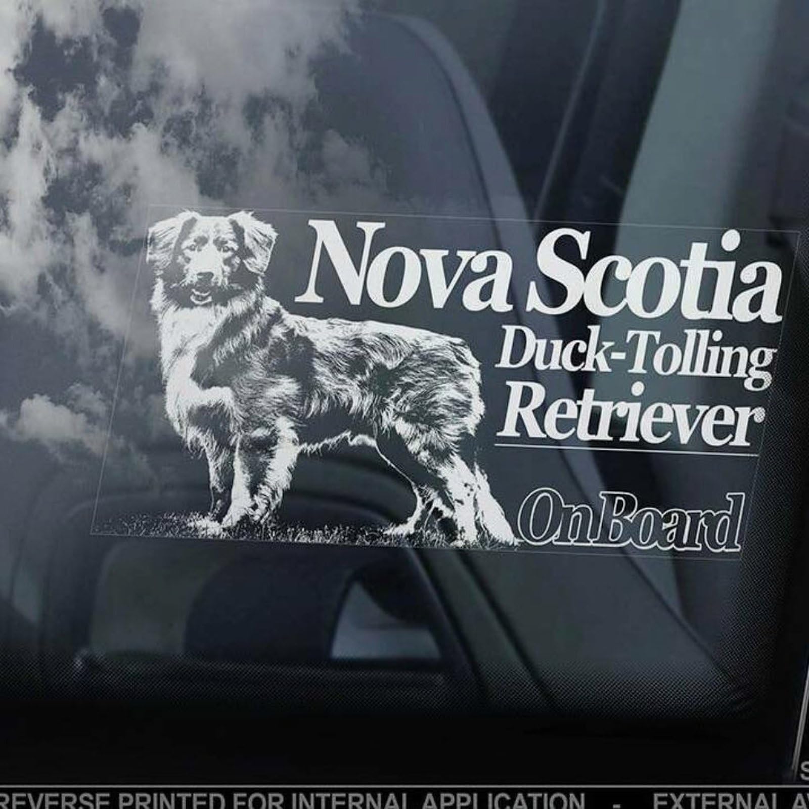 Madcolitote Nova Scotia Duck Tolling Retriever on Board Car Window Sticker Yarmouth Toller Dog Sign Decal Vinyl Die Cut Decals Funny Bumper Stickers Dog Pet Gift