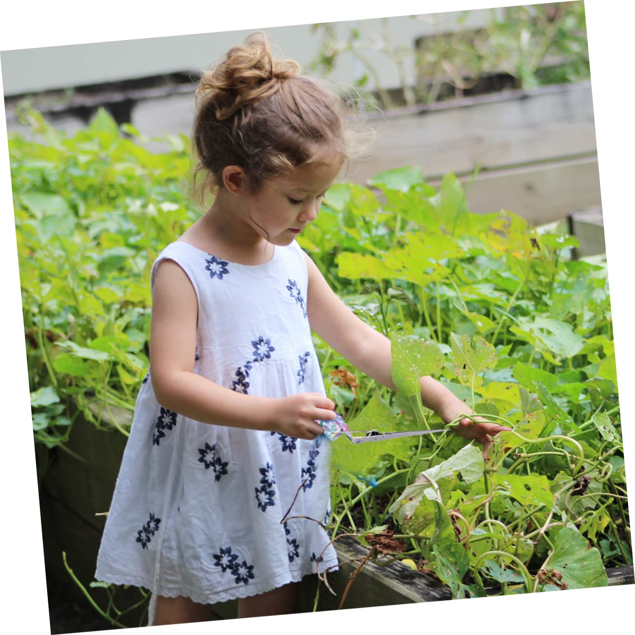 Happyyami 10 Pièces Outils de Jardinage Râteau Sécateur Pelle Pulvérisateur et Inoxydable Kit Pratique pour Hommes et Femmes