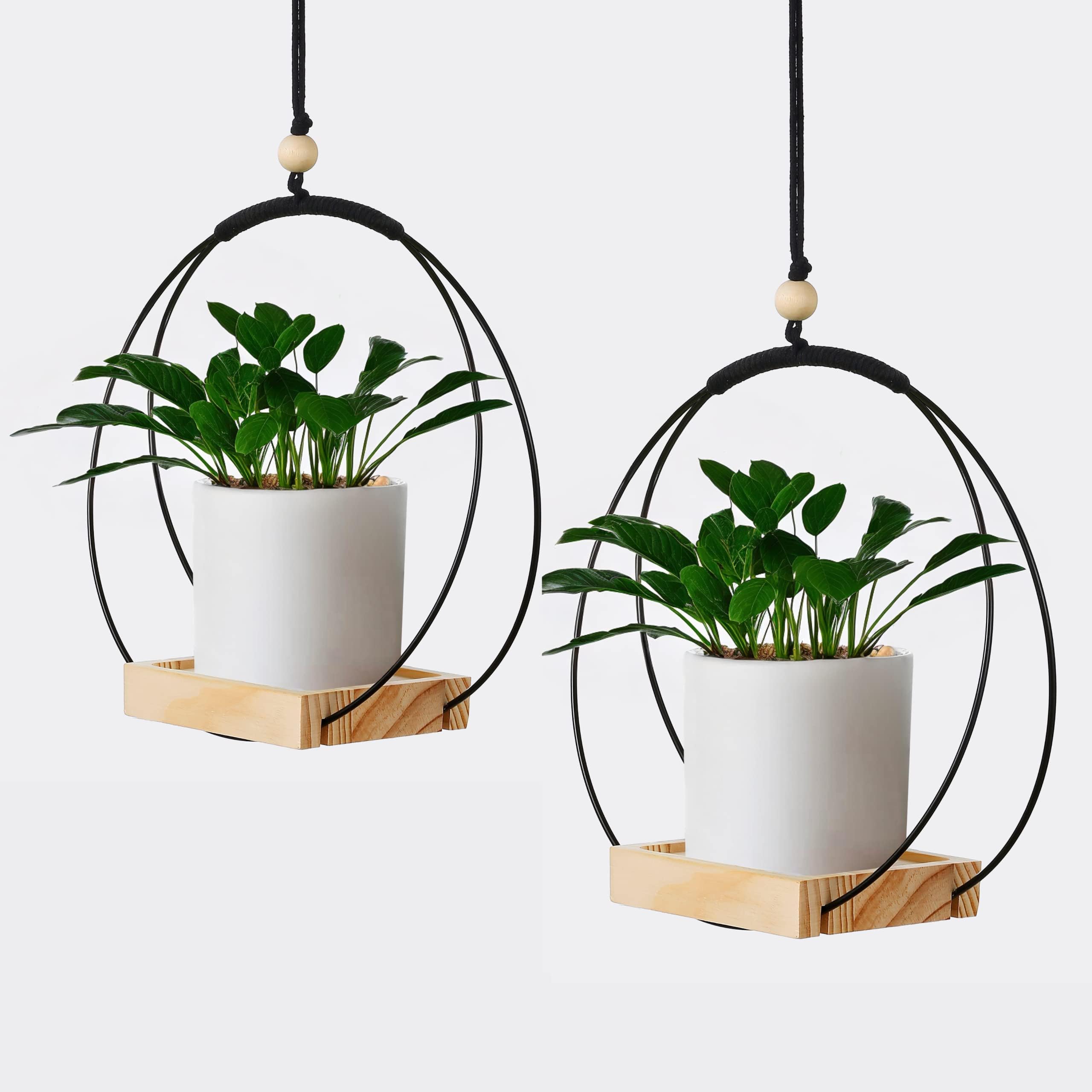 Plant Hangers with Wood Base, 2 Black Metal Frame and 4