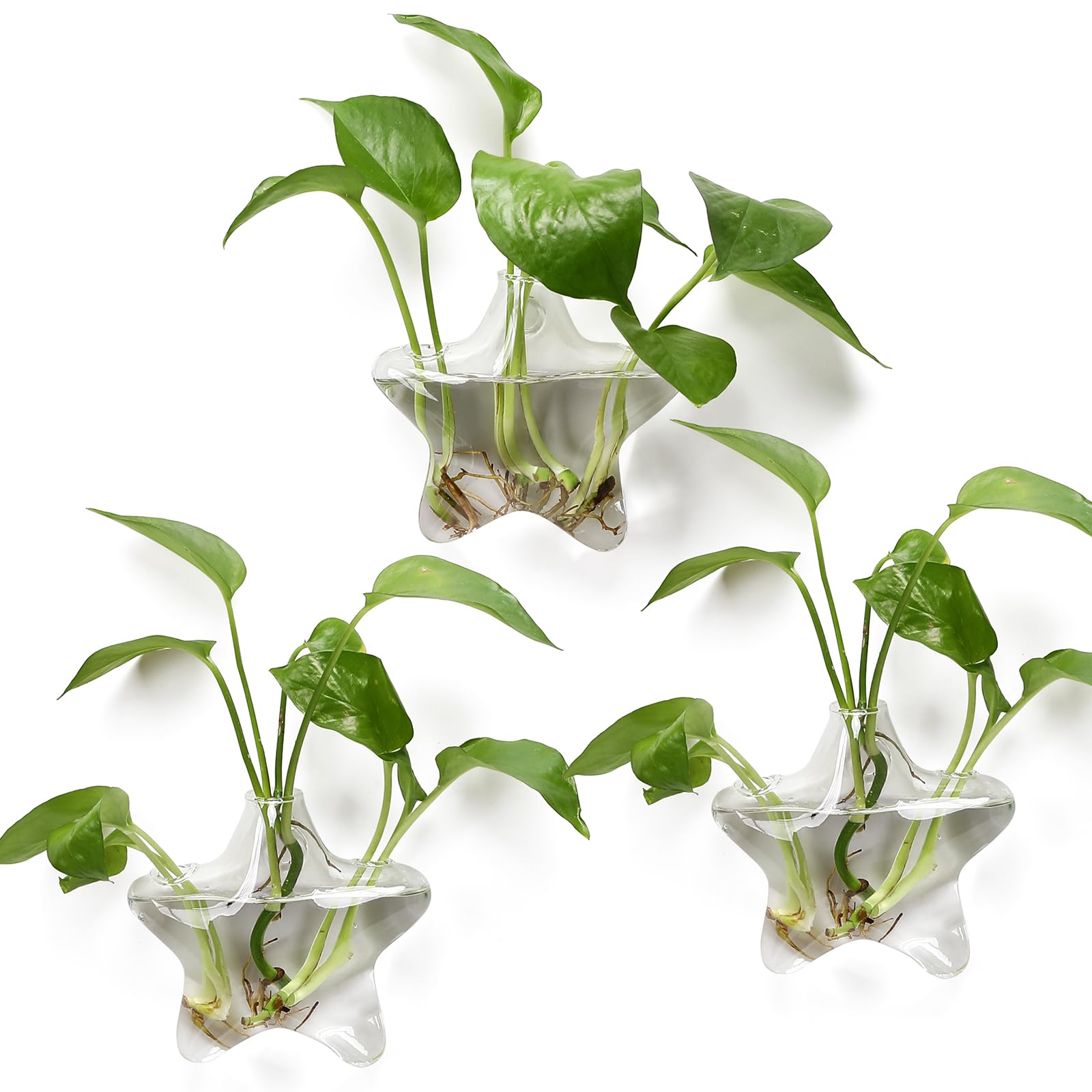 Wall Hanging Planter Propagation Station for Indoor Plants Glass Vase Air Plant Holder for Bathroom Living Room