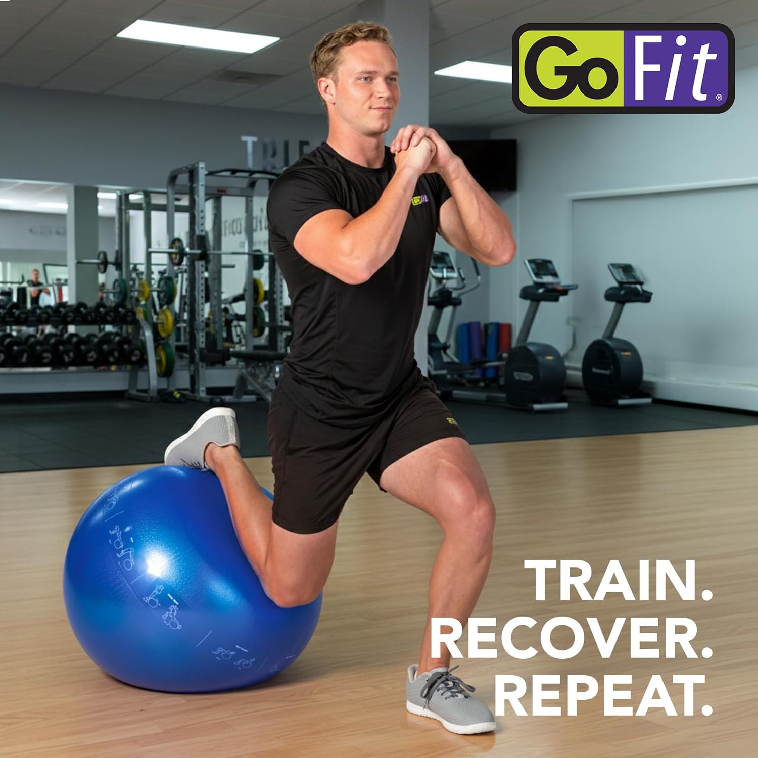 GoFit Professional Stabilit
