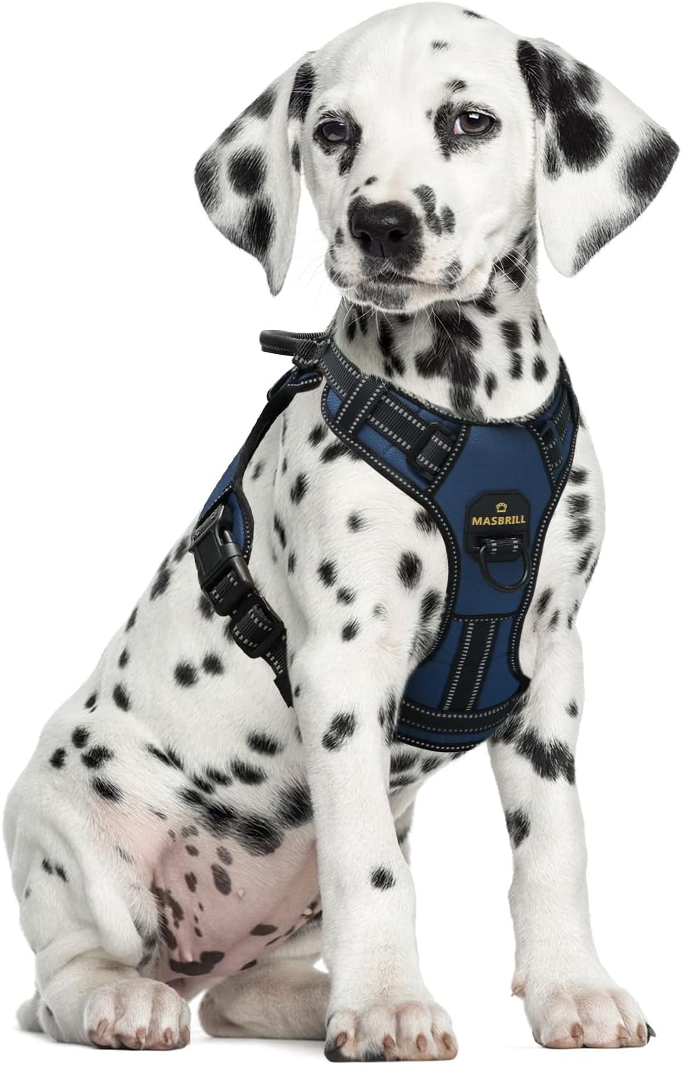 MASBRILL No Pull Dog Harness, No Choke Pet Vest Harness with Front and Back 2 Lead Clips, Adjustable Soft Padded Dog Vest with Easy Control Handle (M, Blue)
