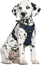 MASBRILL Dog Harness Anti-Pull Adjustable Vest Harness for Small Medium Large Dogs Reflective Soft Padded Vest with 2 Rings and Comfortable Sturdy Handle for Training