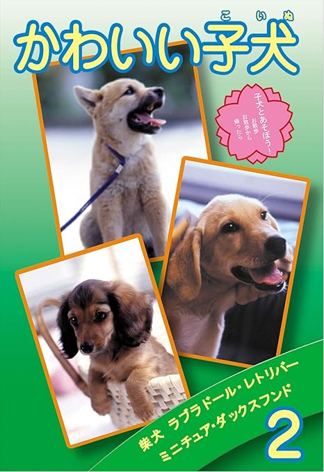 Amazon Co Jp かわいい子犬 Vol 2 Dvd Dvd ブルーレイ