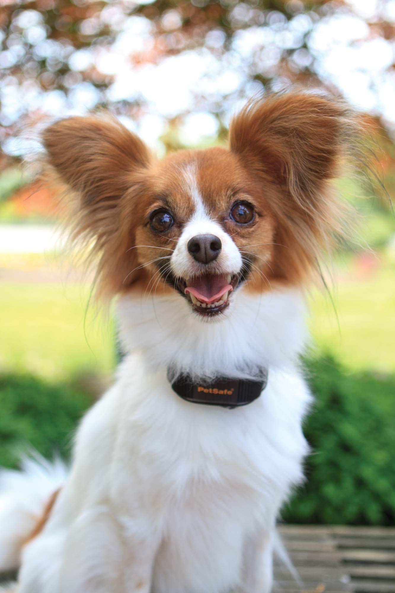 petsafe vibration bark control collar