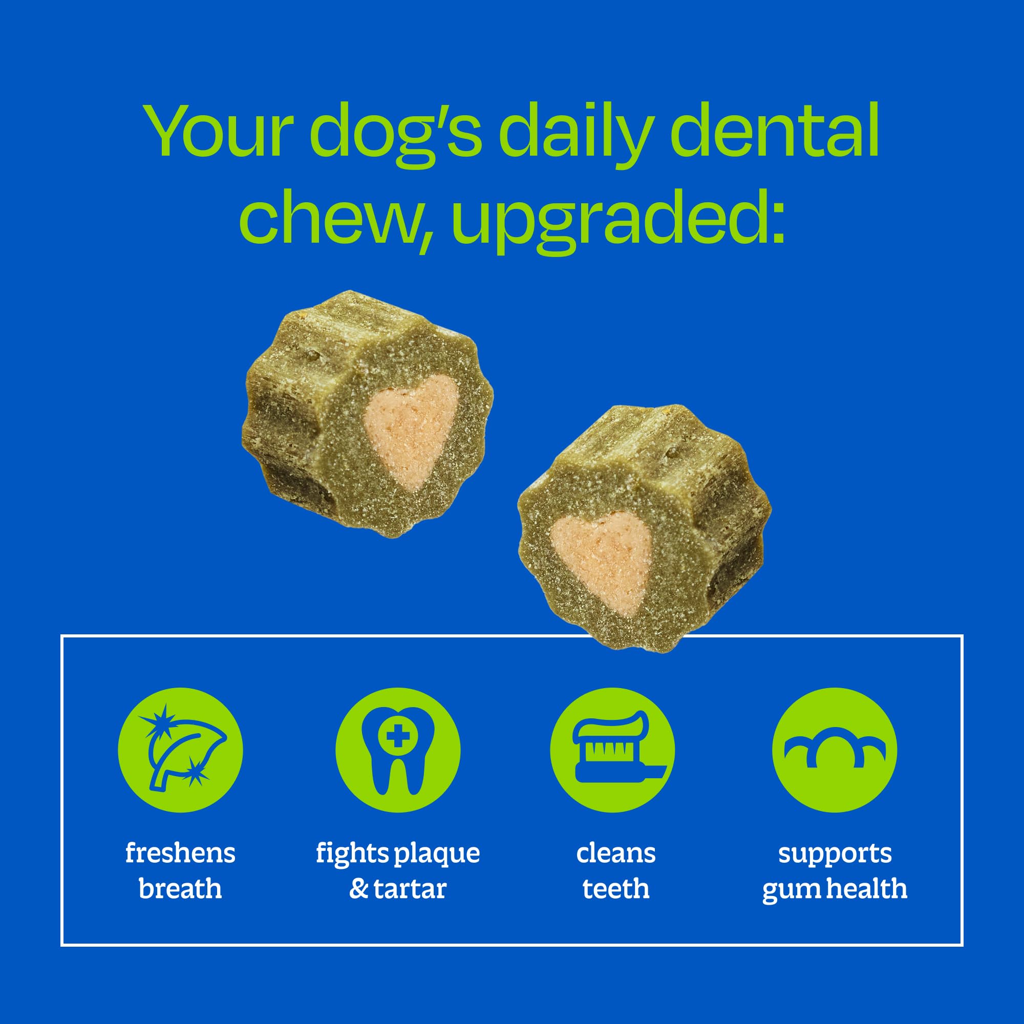Ark Naturals Dentifrice doux sans brosse + lot d'éclats d'haleine – Formulé par un vétérinaire pour chiens de petite race – Aide à réduire la plaque dentaire et le tartre, polit les dents et