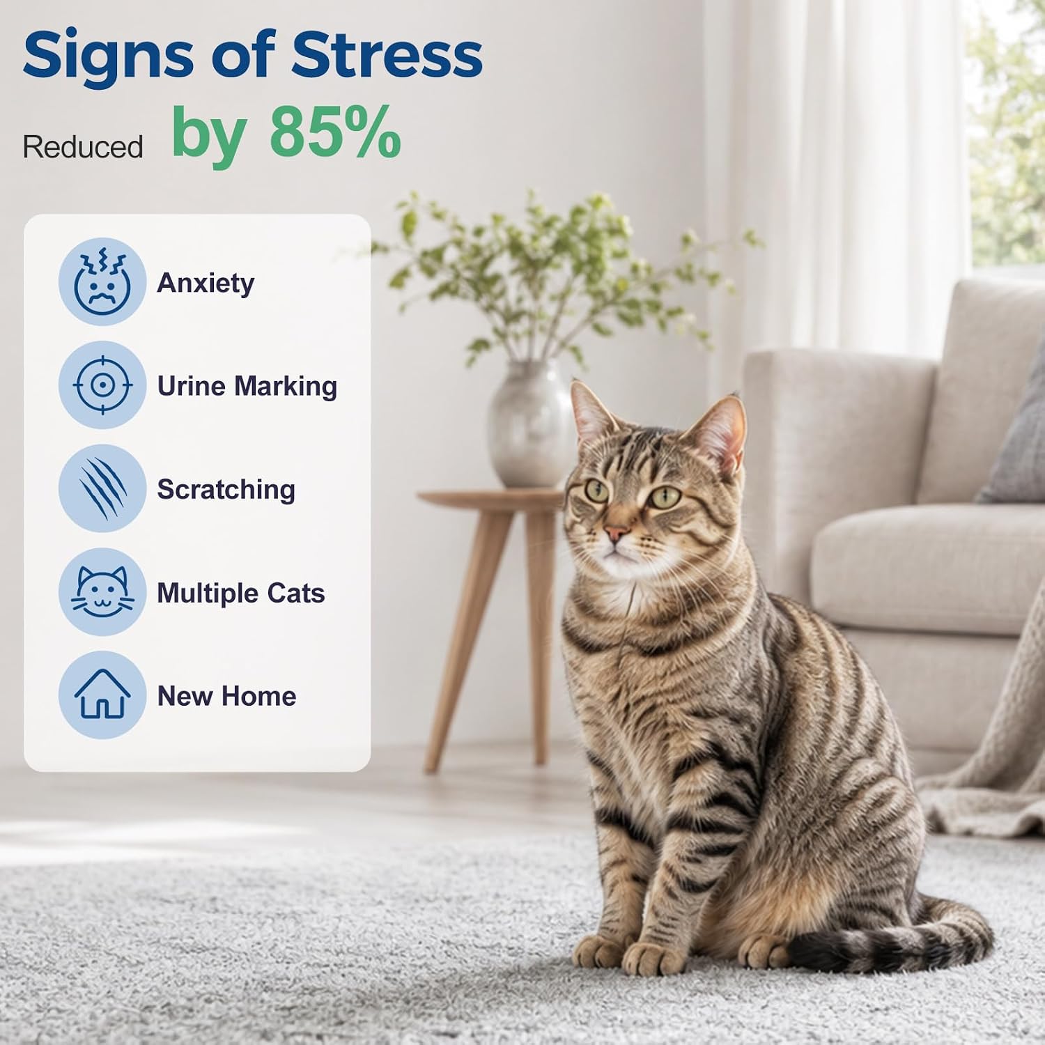 Cat Calming Diffuser Gel, Cordless Pheromone Stress Support for Cats- 200mL | 90-Day Long-Lasting Formula, Helping Reduce Fighting, Spraying & Scratching, Drug-Free, Portable for Home & Car Travel