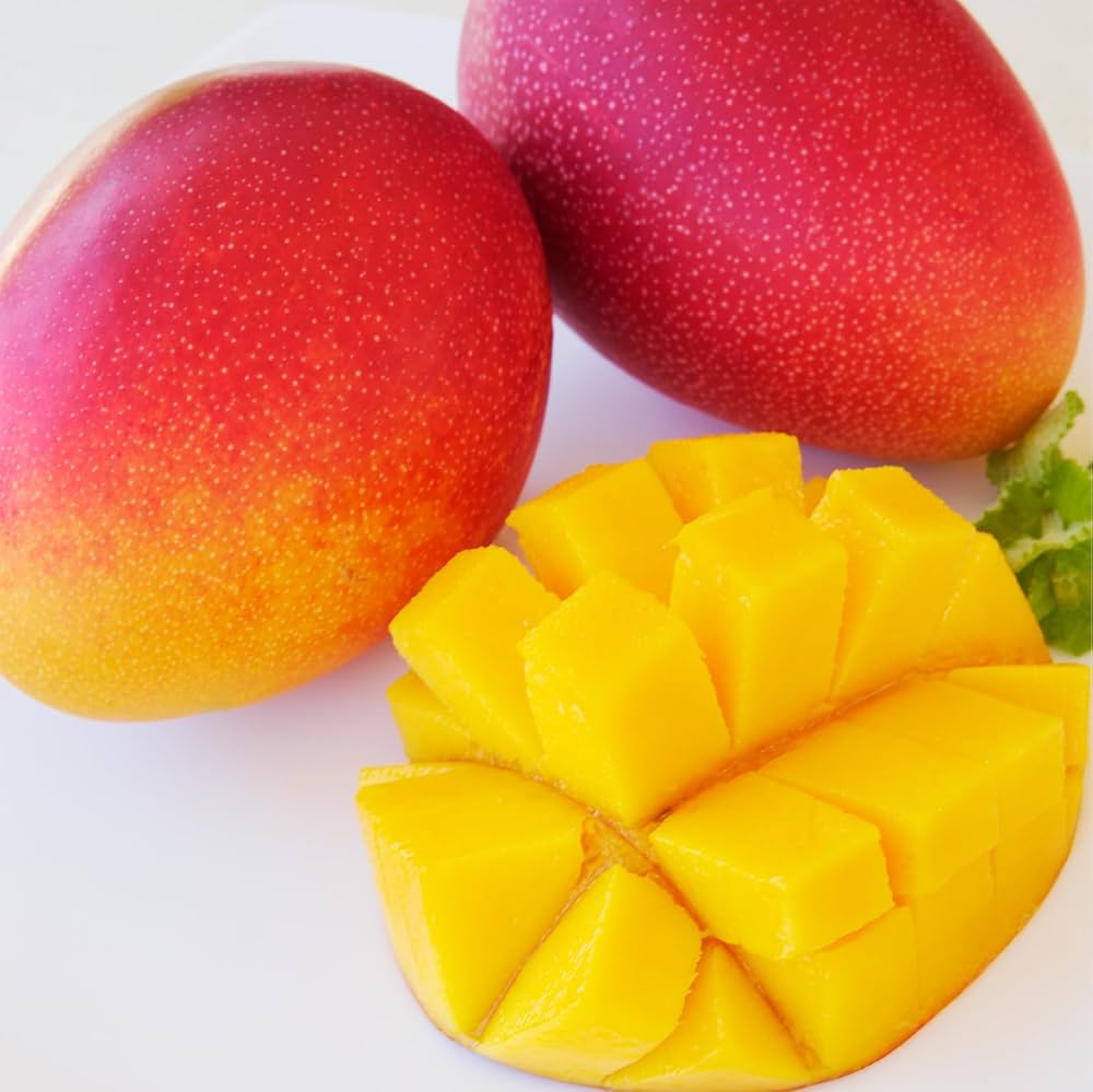 Amazon.co.jp: 宮崎県産完熟マンゴー 2L以上×2玉 : 食品・飲料・お酒