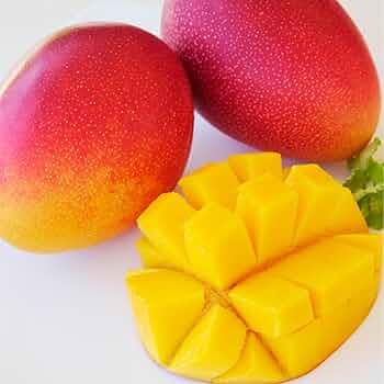 Amazon.co.jp: 宮崎県産完熟マンゴー 2L以上×2玉 : 食品・飲料・お酒