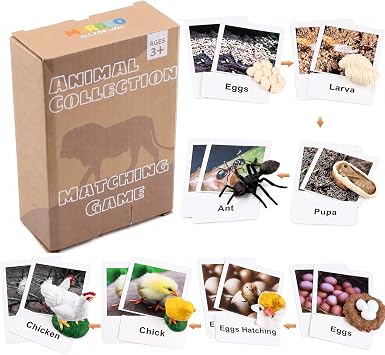 Science Kits for Kids 3-5 Turtle Life Cycle Figurines with Animal Cards | Toys for Kids | Animal Flash Cards Preschool Matching Game | Educational