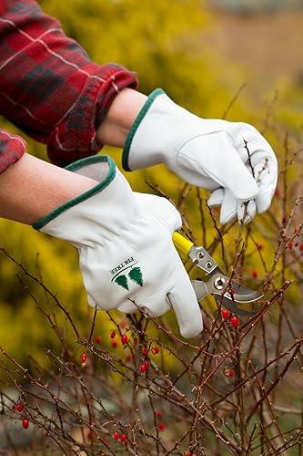 Miniatura 7 de FirTree Brand Goatskin Utility - Guantes de cuero para mujer y hombre para trabajo en el patio exterior, jardinería y paisajismo. Tabla de tallas en