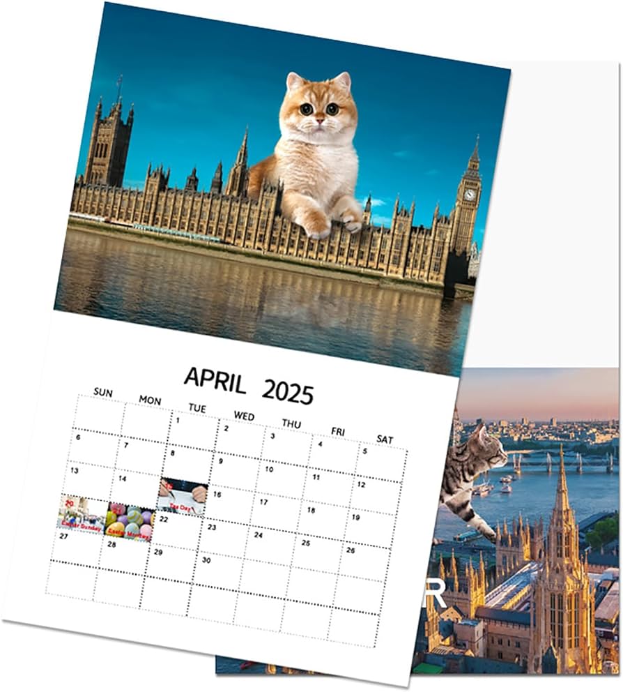 amazon-com-new-city-cat-2025-calendar-2025-cat-wall-calender-2025-calendar-monthly-planner-cat-animal-pet-calendar-2025-new-2025-wall-calendar-animal-pet-calendar-monthly-12-month-1-pc-office-products