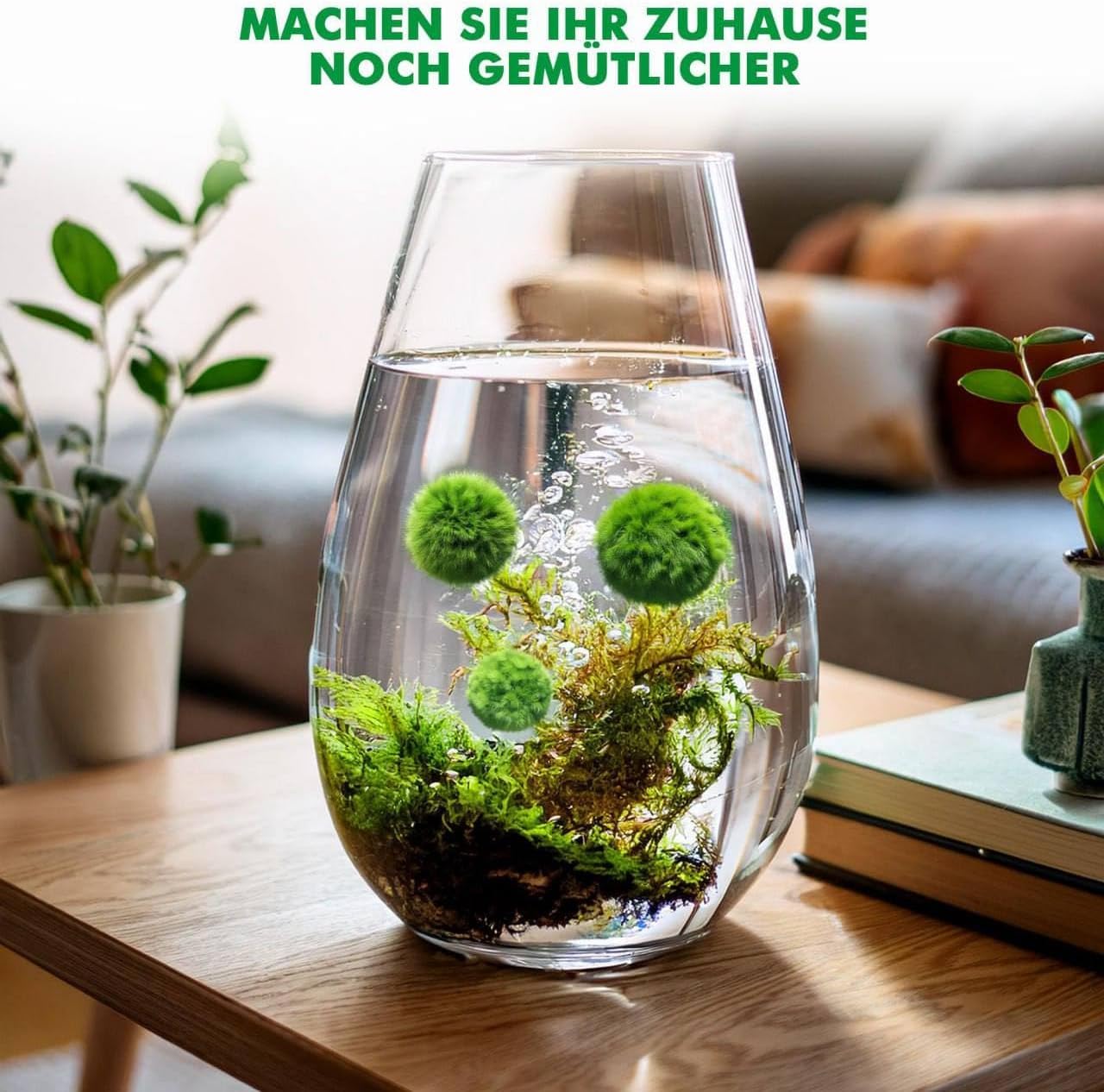 10 pezzi + 1 sfere di muschio per acquario, Cladophora aegagropila linneiae muschio, piante acquarie, muschio, decorazione per acquario, piante vere, marimo, moosball (2-3 cm)