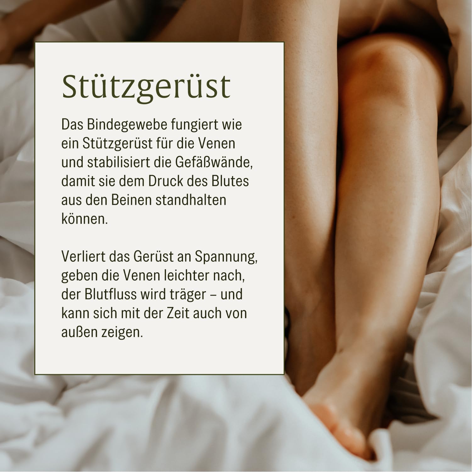 NATURTREU® Rutin Steinklee Komplex 120 Kapseln - 500mg Rutin hochdosiert & 394mg Steinklee - Pflanzliche Alternative zu Venenkapseln Venentabletten - Vegan