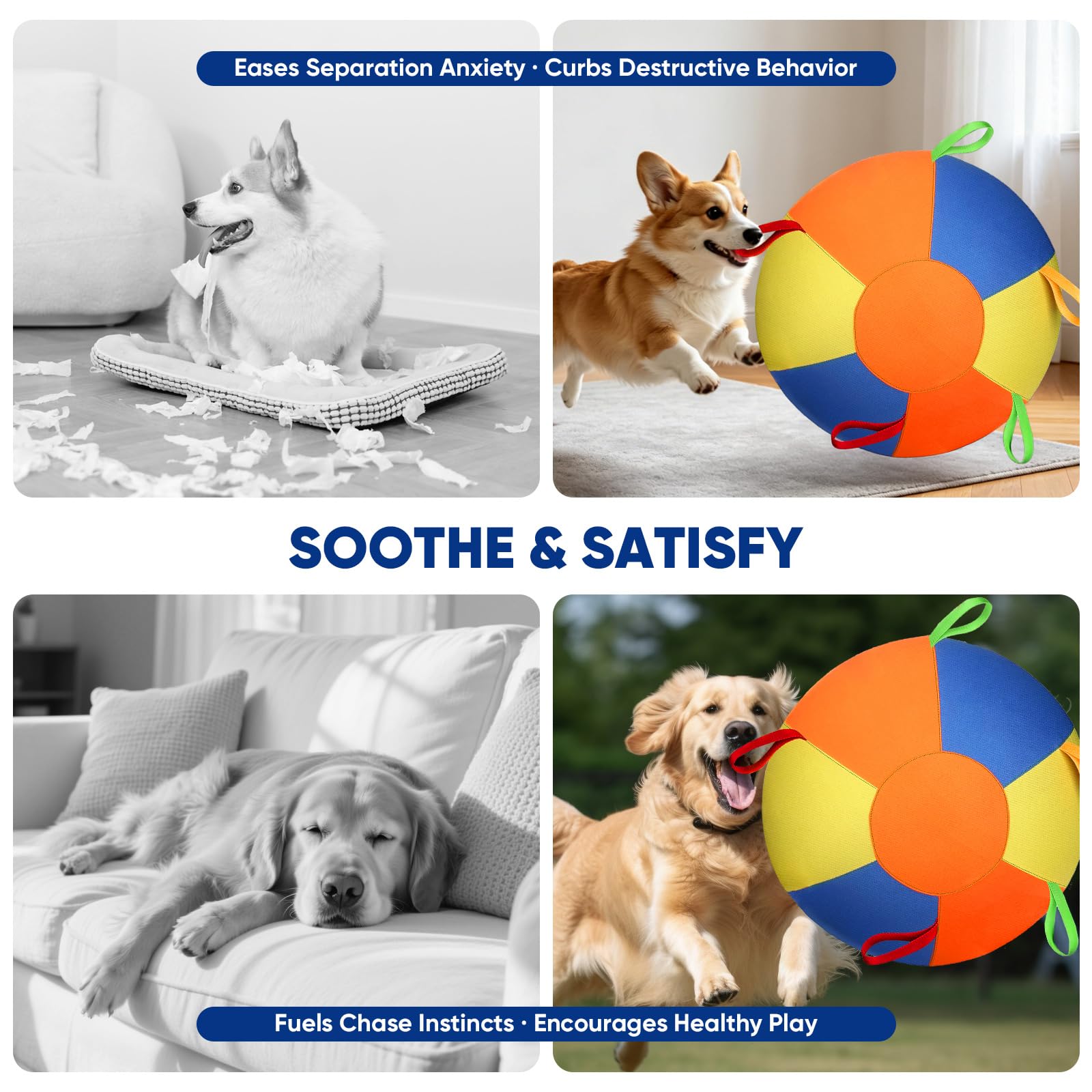 Herding - Balle interactive pour chien - Jouet interactif - Durable - Jouet à mâcher - Design résistant aux morsures - Pour chevaux et moutons