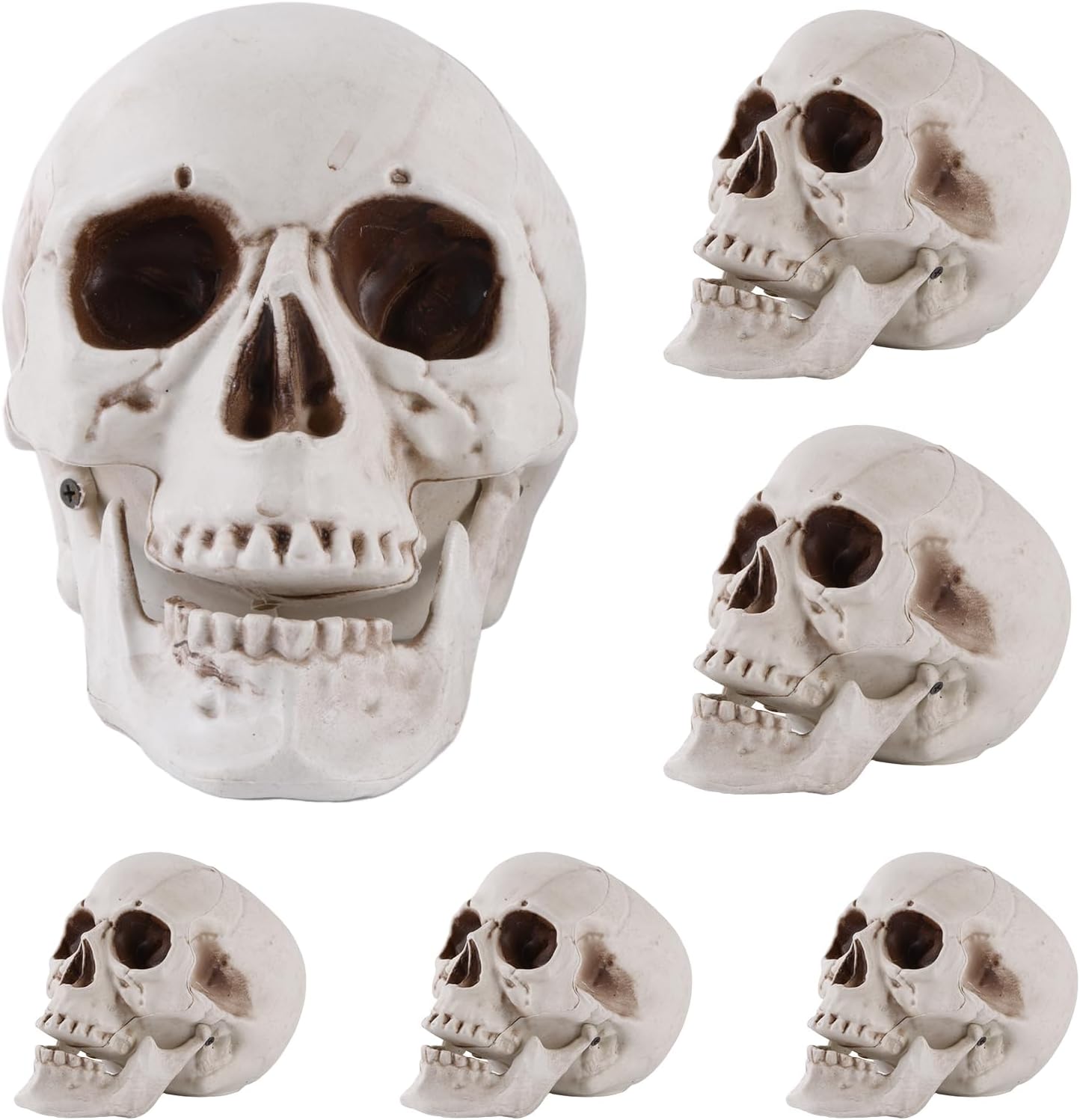 6 Pcs Halloween Human Skull Realistic Skeleton Decorations Head Skull Decor Human Head Bone Skull for Statue Halloween Outdoor Decor, 3 Size,8inch,6inch,4inch