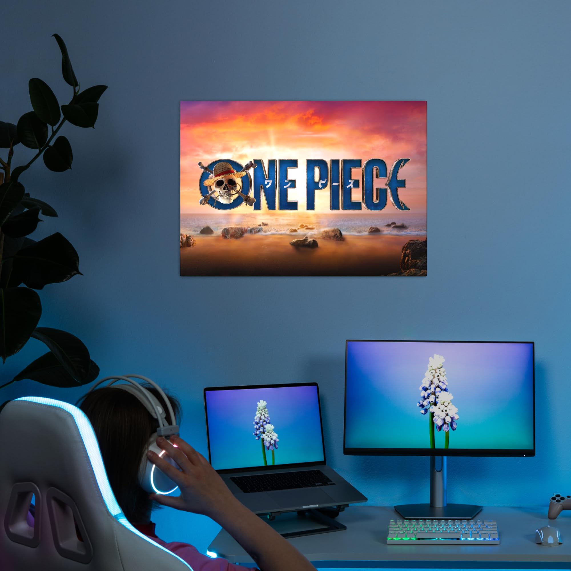Displate - Poster in metallo - One Piece Live Action - One Piece Logo - Jolly Roger Logo - Dimensione M - 32 x 45 cm Matt