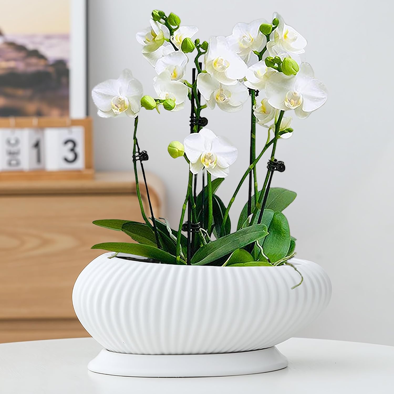 OXART 9.5 inch Ceramic Pots for Plants, Plant Pots Indoor with Drainage Hole and Saucer, Flower Pots for Indoor Plants, Large Planter for Succulent, Snake Plant and Pothos Home Office, White