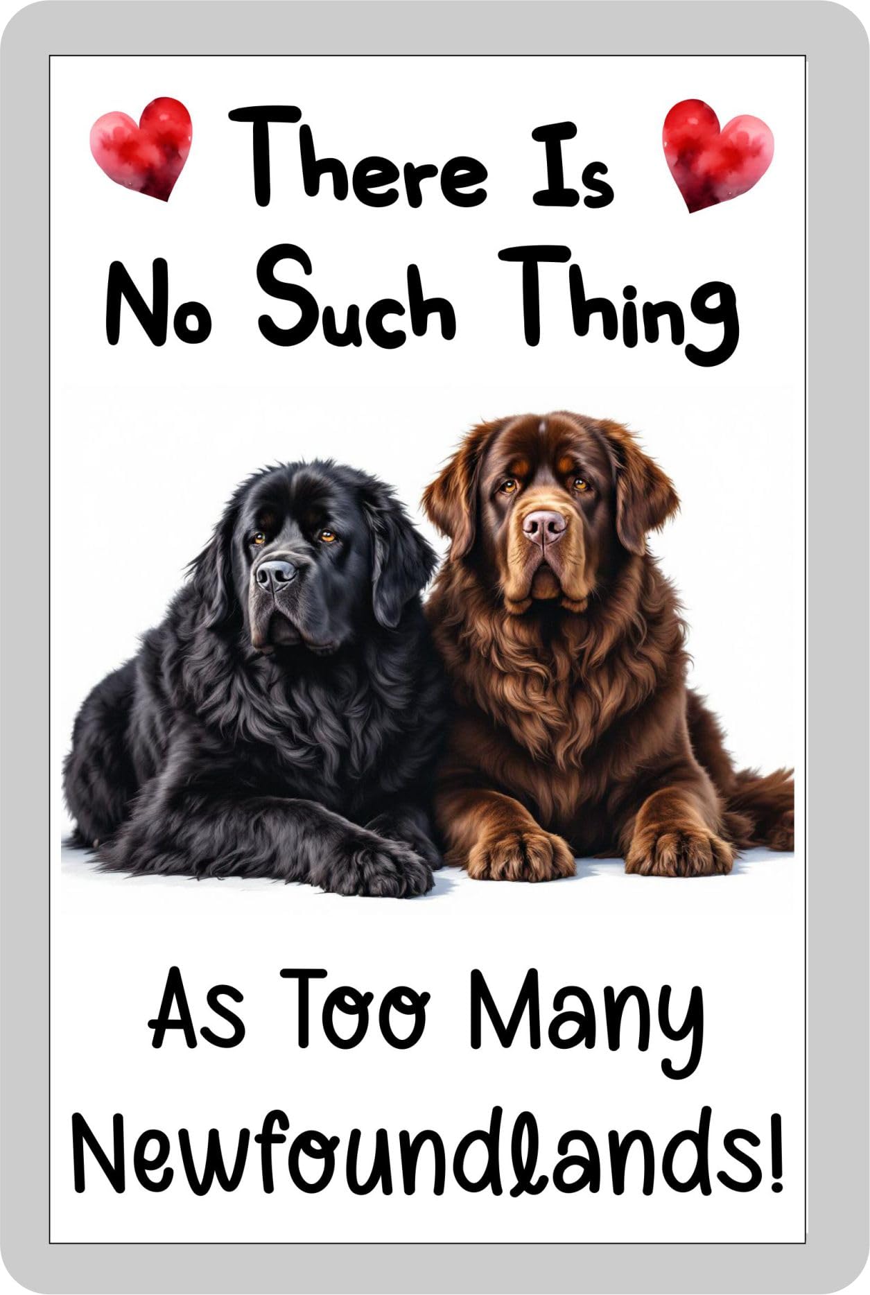 Decalarama Dog Fridge Magnet Gift – There's No Such Thing As Too Many Newfoundlands - Cute Fun Novelty Aluminium Present