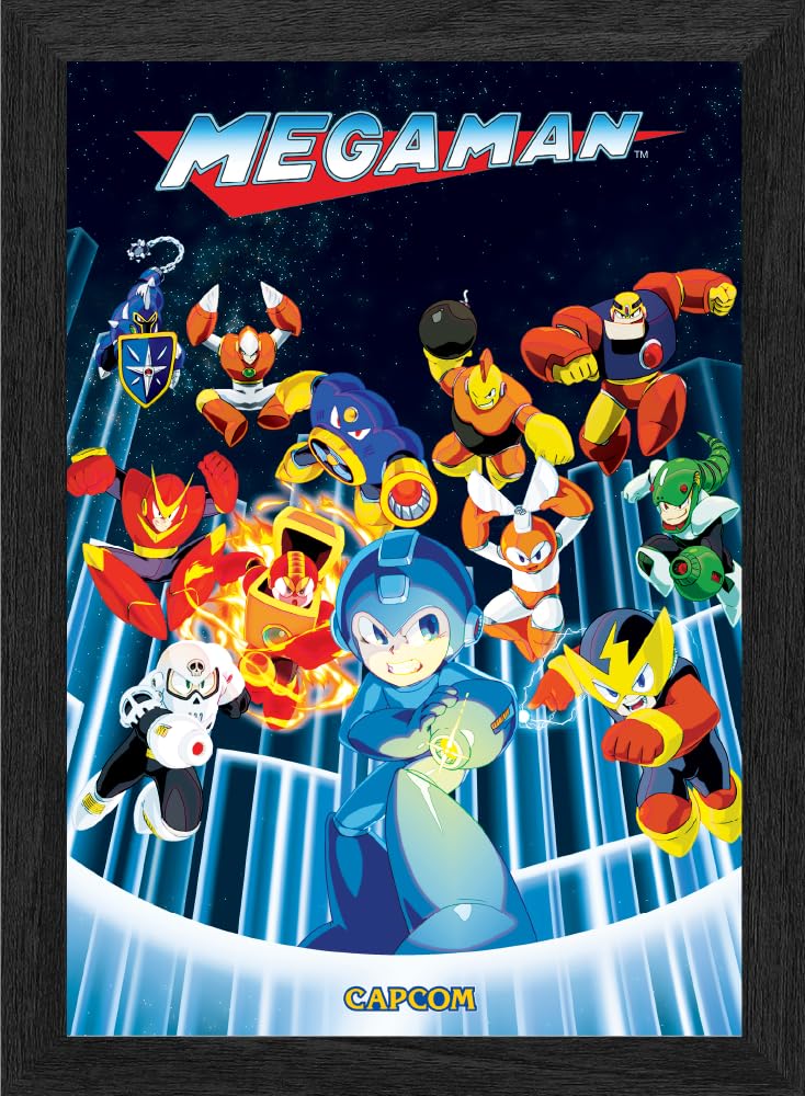 man パンフレット　DVD ミニフォト Rockman ZX Special DVD | MMKB | Fandom