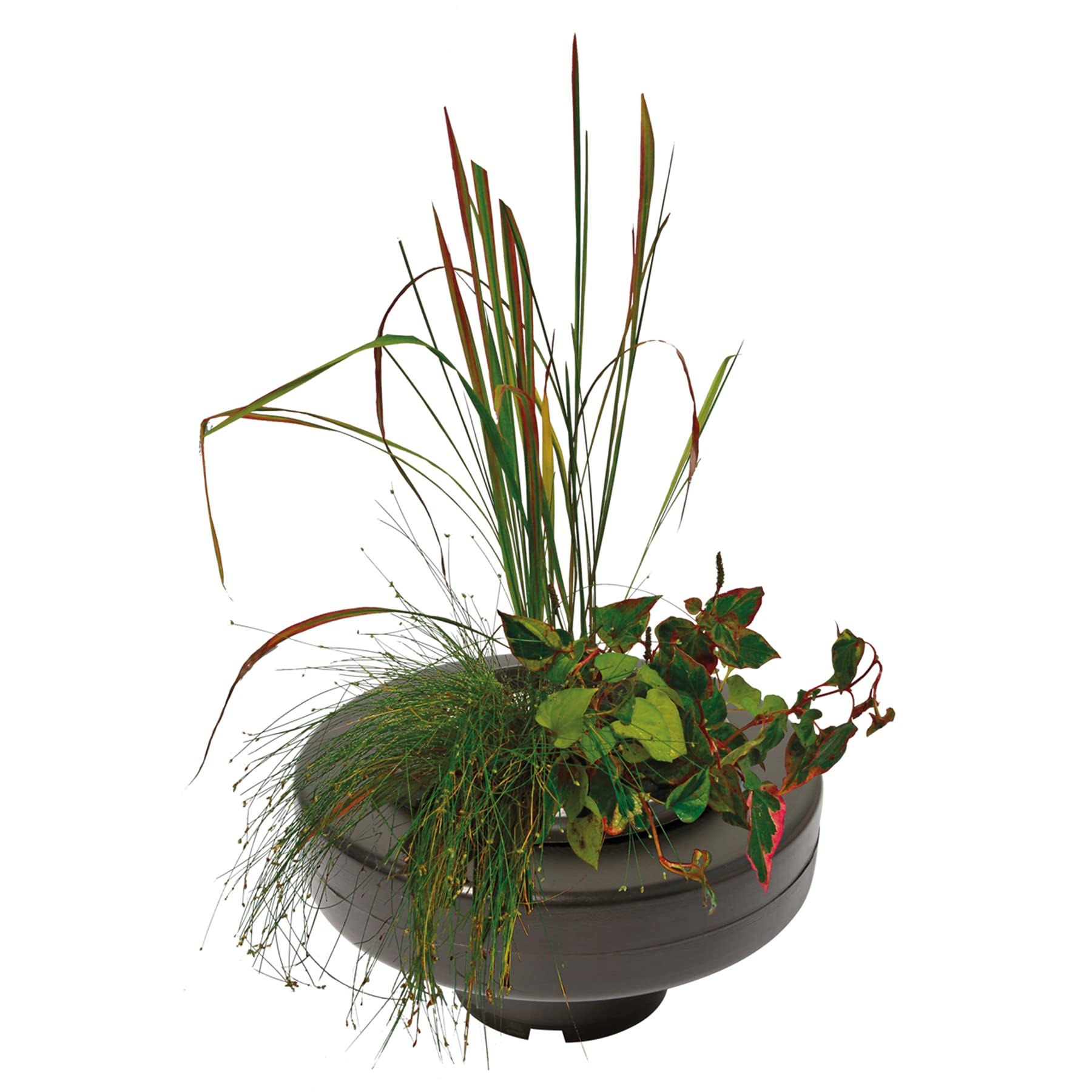 Panier flottant pour plante de bassin diamètre 30cm