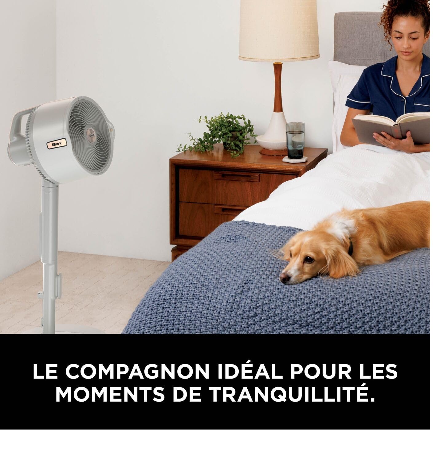 Shark FlexBreeze Pro Mist Ventilador sin cable para interior y exterior con nebulizador, depósito portátil, alcance de 20 m, de pedestal o mesa, 5 velocidades, mando a distancia, Gris paloma FA300WHEU