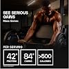Bulk Mass Gainer, Protein Powder Shake, Weight Gainer, Glutamine, Banana, 2.5 kg, 18 Servings, Packaging May Vary
