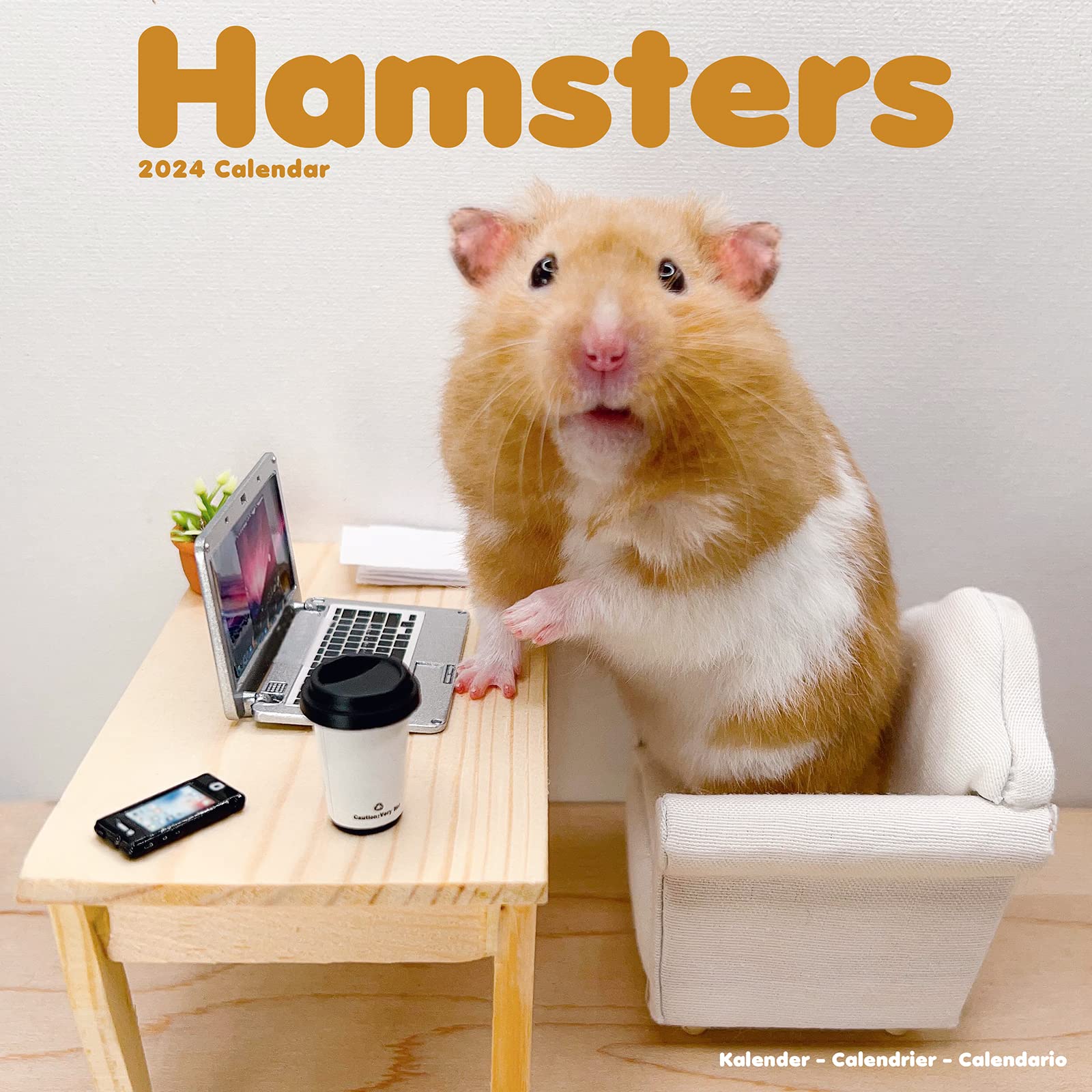 Hamsters Calendar 2024 | Square Animal Wall Calendar - 16 Month