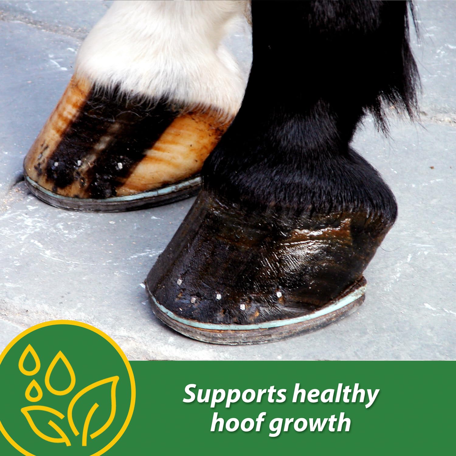 Farnam H.B. 15 Hoof Supplement, 7 Pound