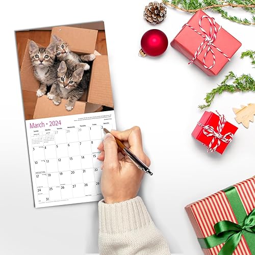Miniatura 5 de Red Ember - Mini calendario de pared para espacios pequeños  Gatitos 2024 colgante mensual por Red Ember  Solo 7 x 14 pulgadas abierto  Papel grueso