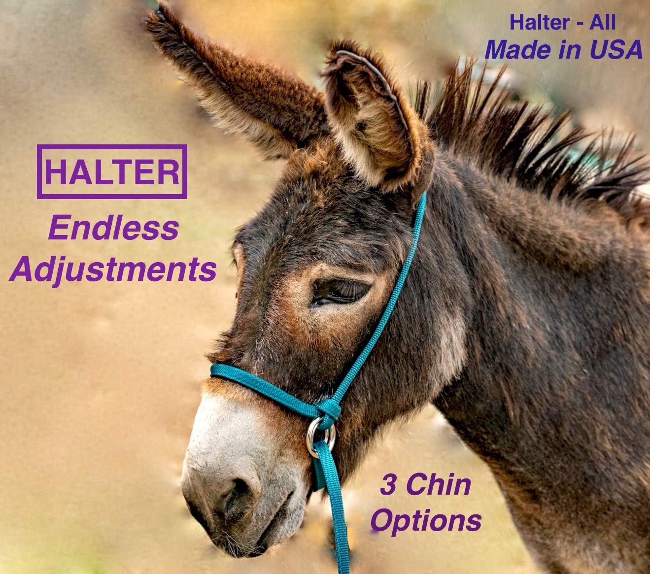 Halter All Small Pattern Miniature Donkey Mule Mini Endless