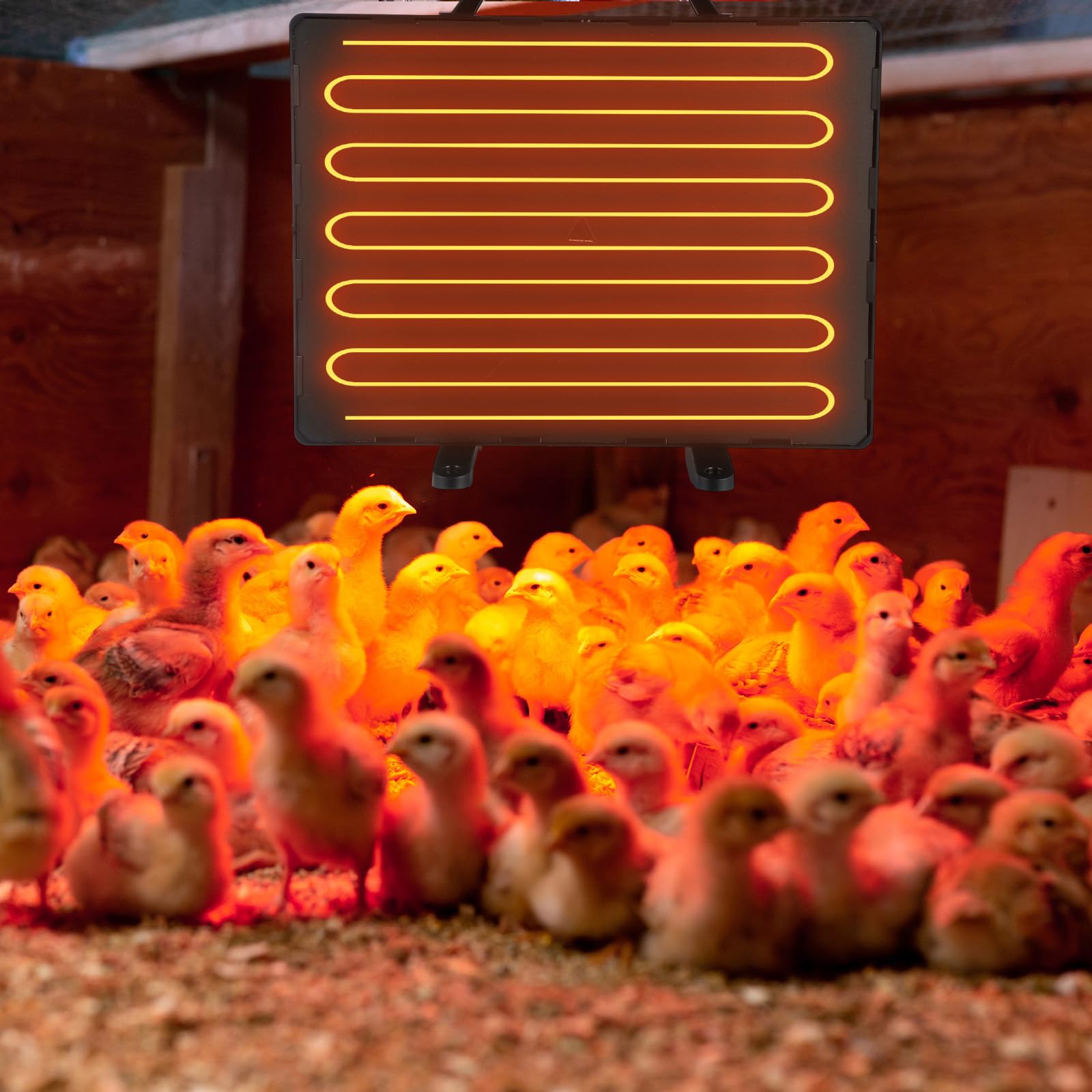 VIHOSE El kit de iniciación de pollitos incluye calentador de gallinero ajustable de 25.0 °C a 93.3 °C, panel de calor radiante de 0.8 galones y comedero de 1.3 kg y percha para pollitos y comedero de