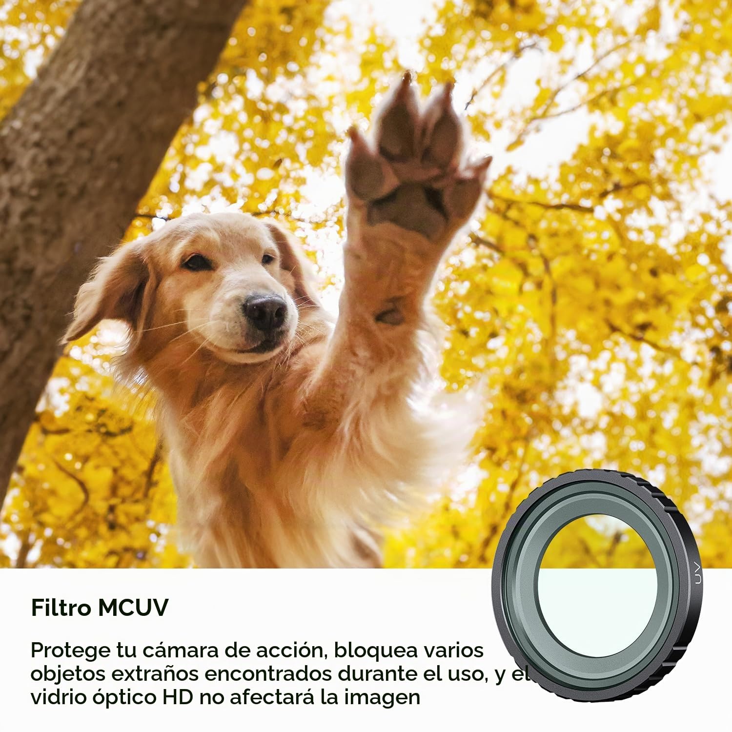 K&F Concept Filtro UV CPL ND4 compatible con Insta360 GO 3S, protección de lente, polarización ultravioleta, densidad neutra, paquete de 3 filtros para accesorios Insta Go3