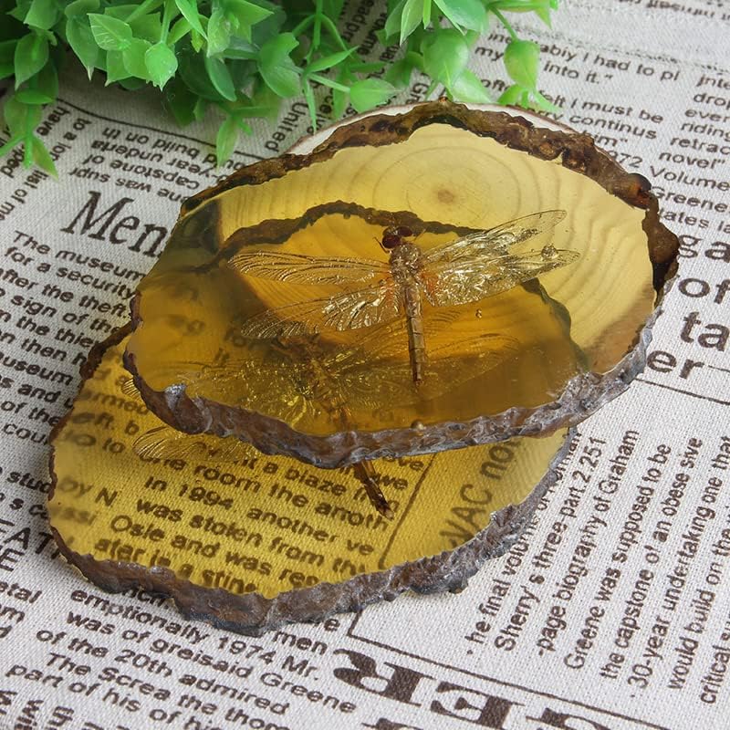 Miniatura 8 de 1 unids hermosa ámbar libélula fósil insectos pulido manual especímenes de insectos verdaderos