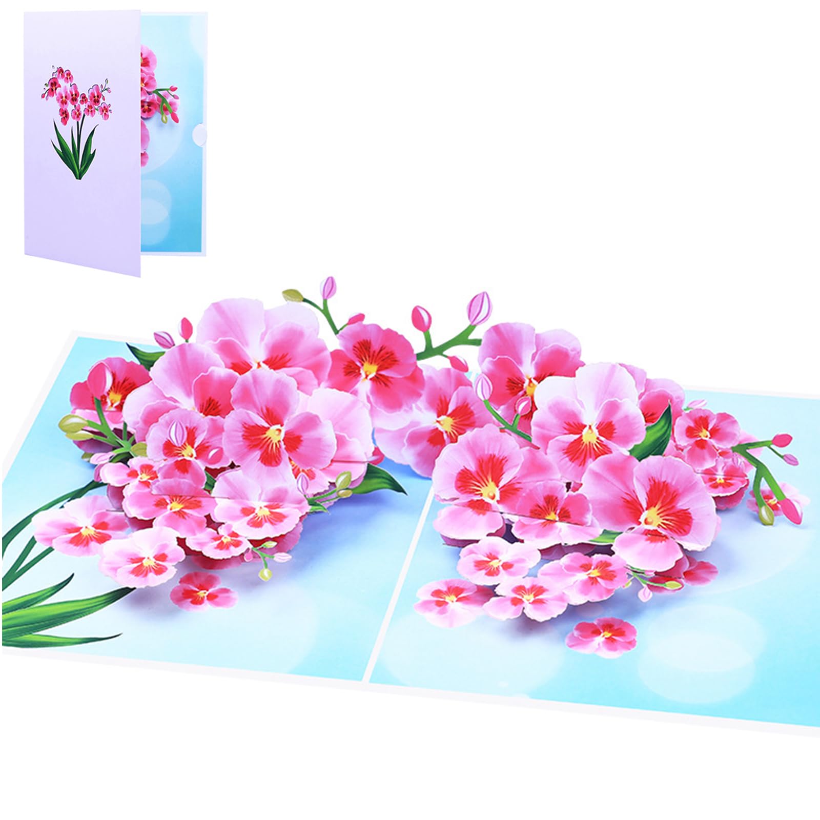 Birthday Cards for Women - 3D Pop Up Greeting Card with Elegant Orchid Design, Laser Cut Floral Card with Envelope, Romantic Gift for Her, Anniversary Thank You Card
