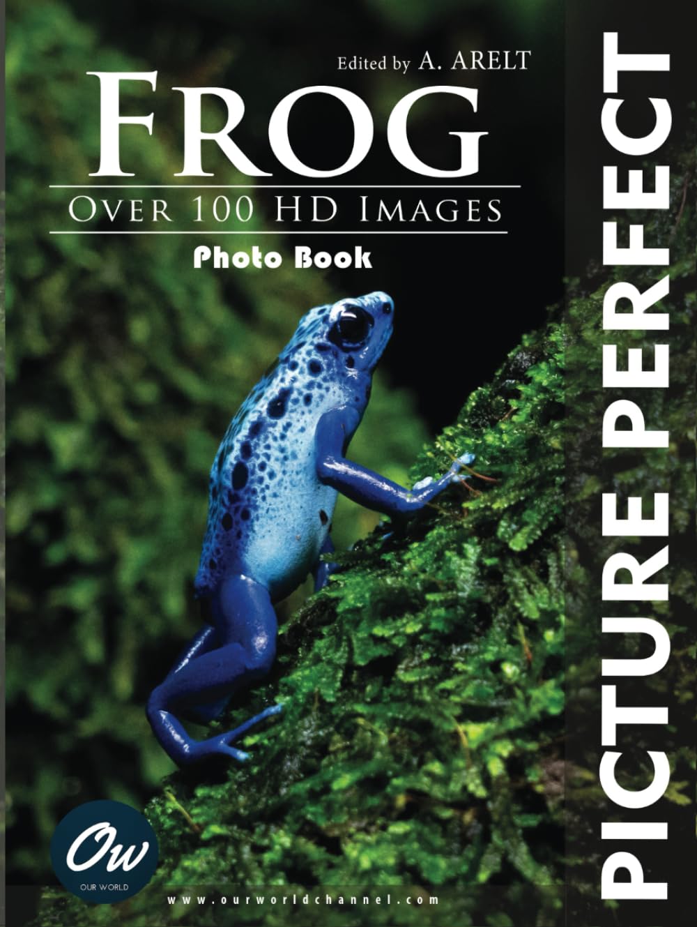 Frog Picture Perfect Photo Book pour raconter vos vacances en famille sur table basse