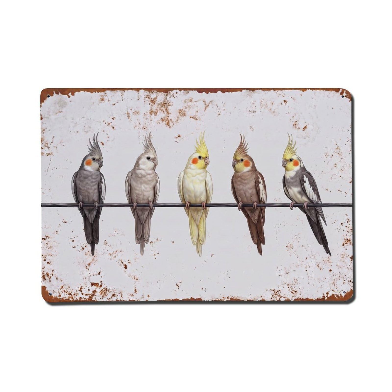 Vintage Retro Birds Cockatiel Metal Tin Sign