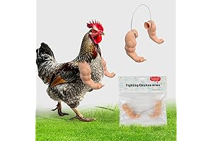 Chicken Arms – The Poultry Paramount in Personal Protection